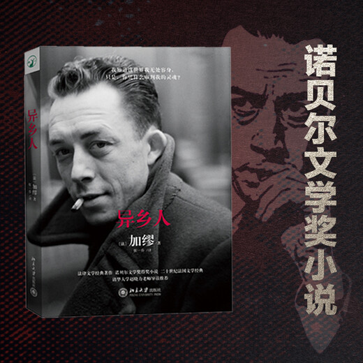 The Stranger is also translated as The Outsider, Camus’ Nobel Prize-winning work. There is nothing wrong with being lonely, I am just an outsider!