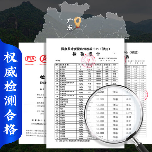 福东顺 茶叶 小青柑普洱茶熟茶新会陈皮云南普洱柑普茶礼盒装500g