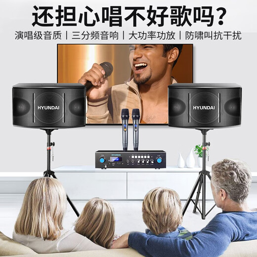 HYUNDAI现代家庭影院ktv音响套装家用k歌电脑电视客厅卡拉ok全套会议室卡包店铺专业功放音箱设备 【经典版】10吋音响套装