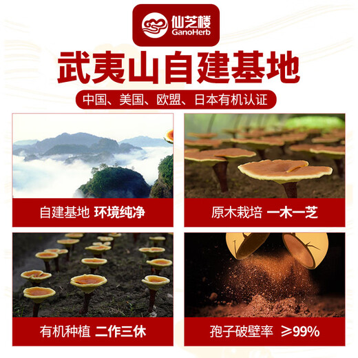 Xianzhilou Ganoderma lucidum spore öl weichkapseln gebrochen wand ganoderma lucidum spore pulvere extraktion verbessert immunitätsgesundheit geschenke für Eltern 10 Kapseln*1 Box (neue Kunden kaufen 1 kostenlos 1 Box 2 Boxen Limited auf 1 Bestellung)