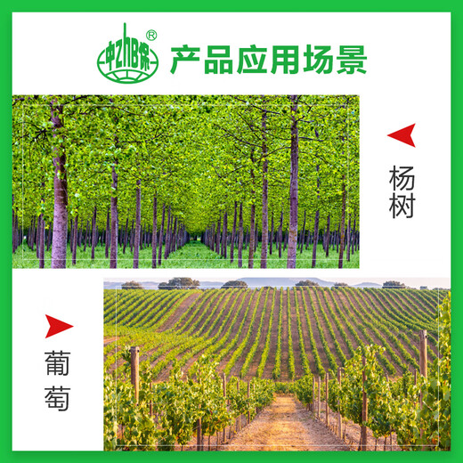 Huizun 5% indole butyric acid naphthalene acetic acid rooting powder plant rooting agent for cuttings tree rooting powder root agent liquid 10g