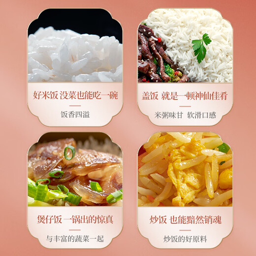 Rice frog 2024 new rice, cat tooth rice, long grain fragrant rice 10kg, indica rice, southern silk seedling rice, new rice in season 20Jin Jin is equal to 0.5kg