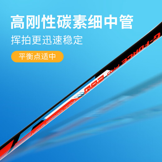 李宁（LI-NING）羽毛球拍中杆碳素280碳复合对拍AYPV069-22 (穿线含羽毛球手胶）