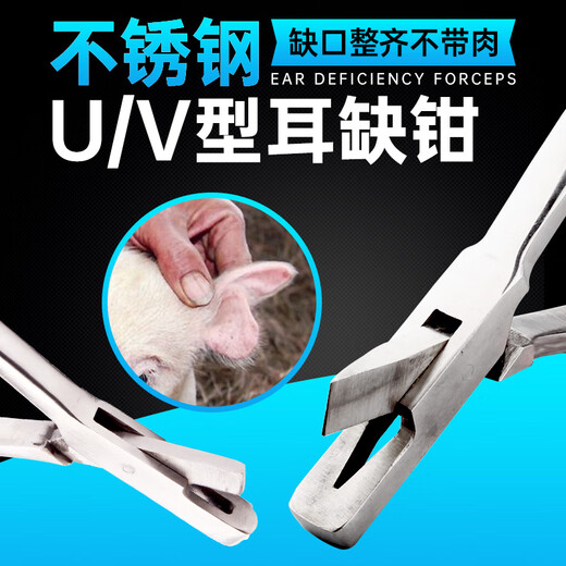 Stainless steel UV ear chip ear forceps for pigs pig ears v-type ear chip u-type ear chip pliers shipped after disinfection v-shaped ear chip pliers