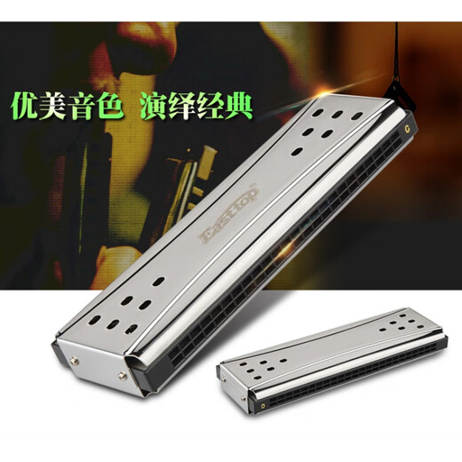 东方鼎双面双调两面两调24孔C调G调复音单音口琴专业演奏乐器免费刻字 银色