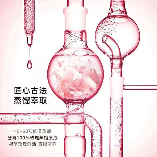 Han Xizhen (HEXZE) Han Xizhen Snow Rose Backlight Skin Secret Whitening and Moisturizing Full Series Official i-Part Set Flagship Skin Care Products Store Snow Rose Water Light Skin Rejuvenation Mask 5 Pieces 1 Box 2