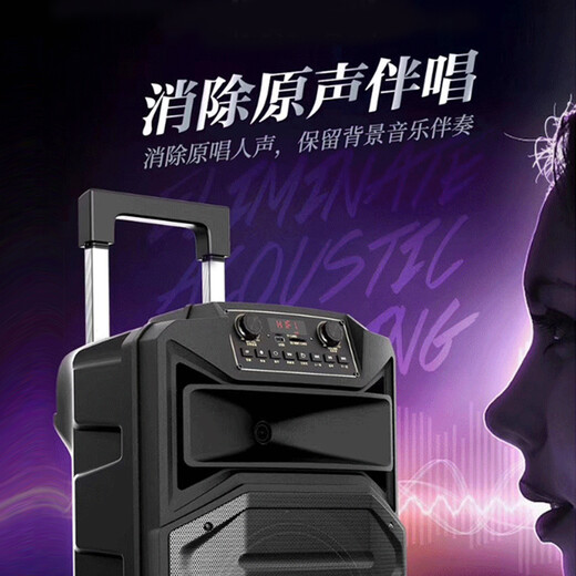 TEMEISHENG SL12-31Pro outdoor square dance karaoke audio high-power portable trolley Bluetooth mobile speaker 10-inch standard + 2 wireless microphones + gift bag (gift)