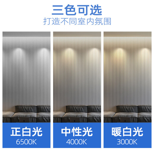 Philips (PHILIPS) constant brightness LED small column bulb columnar LED bulb E27 screw socket 7.5W white light (6500K)