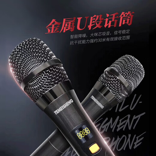 TEMEISHENG SL12-31Pro outdoor square dance karaoke audio high-power portable trolley Bluetooth mobile speaker 10-inch standard + 2 wireless microphones + gift bag (gift)