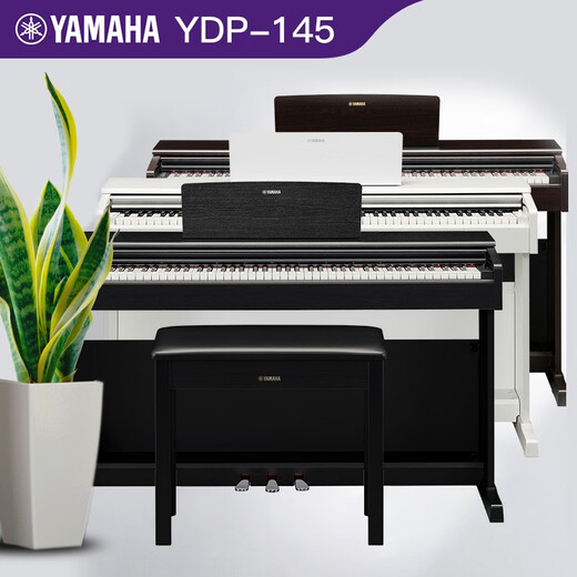 雅马哈（YAMAHA）电钢琴YDP145进口重锤专业88键立式电子钢琴成人儿童初学演奏考级 YDP145B黑色+官方标配+原装琴凳