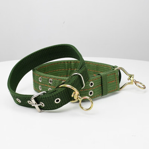 Gasgo dog collar, medium and large dog collar, pet collar, golden retriever Satsuma canvas dog collar, double row of holes