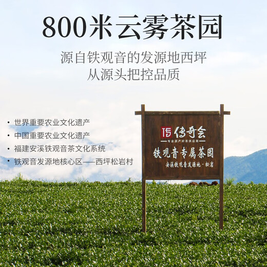 Legendario té de té oolong tieguanyin fragancia fuerte especial 500g caja de regalo mediana té té gran regalo regalo