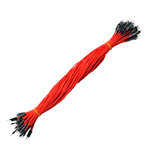 Throwing stones 1P rehearsal DuPont wire 26AWG silicone insulated wire High temperature resistant electronic wire Experimental supplies 100 wires in a bundle 20cm wire length 100 wires/item Red 30cm male to female