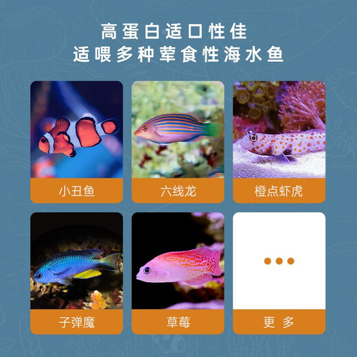 Haixiang says seawater fish special feed meat fish grain small ornamental fish hanging clown fish grain coral grain open fish food special meat fish grain 35g