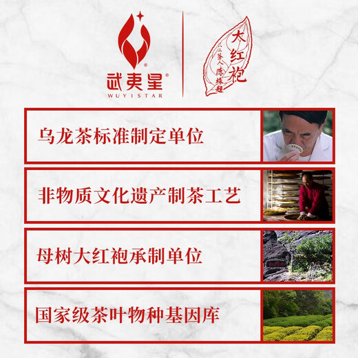武夷星 武夷岩茶乌龙茶叶 单泡一级品鉴装 盒装16g*1盒山语-老枞水仙