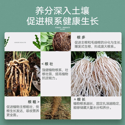 Stanley rooting liquid, rooting water, general seedling rooting agent for plant cuttings, rooting powder nutrient solution 500ml