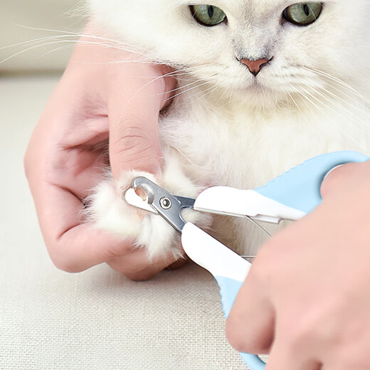 Huanpet.com cat nail scissors, cat nail clippers, cat claw scissors, pet nail clippers, kitten and kitten anti-shear blood line special artifact