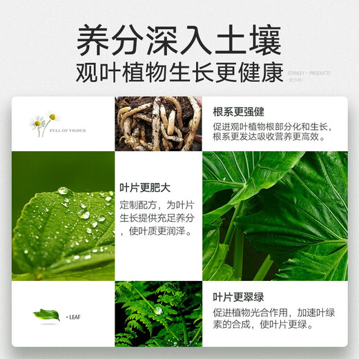 Stanley green plant nutritional fertilizer potted plant general indoor organic home green leaf viewing type compound fertilizer 500g