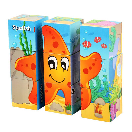 Bois de construction en bois peinture à six côtés en bois 9 pièces Puzzle 3D 3d outils de maternelle pour enfants en trois dimensions pour enfants 3-6-7 ans.