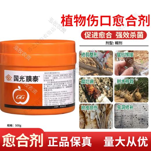 Guoguang Membrane Taida Tree Bonsai Fruit Tree Wound Smear Healing Agent Grafting Rot Healing Sealing Cream 500g
