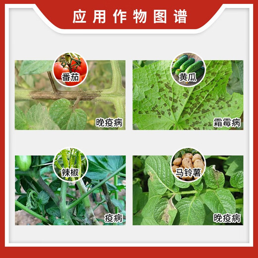 Jiwu Downy Mildew Phytophthora Crimonylurea Manganese Zinc 72% Cucumber Tomato Late Blight Downy Mildew Phytophthora Pesticide Jiwu Pesticide 25g