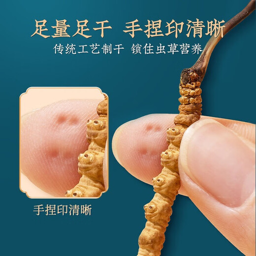 Luzhangtang Tibetan Qu Premium Cordyceps 1 gram Pack of Broken Cordyceps Broken Grass Cordyceps Cooking 1 gram Pack of Cordyceps Cooking 1 gram Pack of Nagqu, Tibet High-altitude Wild (Whole Cordyceps) 1 gram Pack of 4 pieces per gram