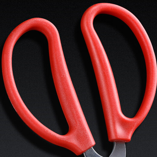 Zhenyou (Grsaed) eel clip stainless steel multi-functional non-slip loach clip crab clip 52cm straight head extended lobster claw to control fish