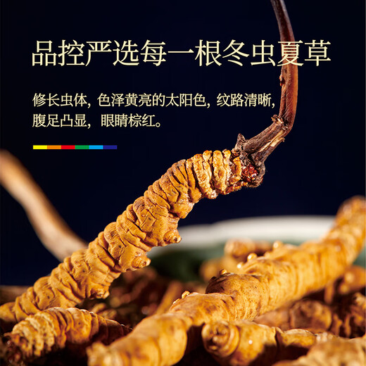 Cordyceps sinensis 3 Wurzeln/G10g ungefähr 30 Wurzeln Cordyceps Festliche Geschenke High-End-Nahrung Ernährung Auswahlgeschenke