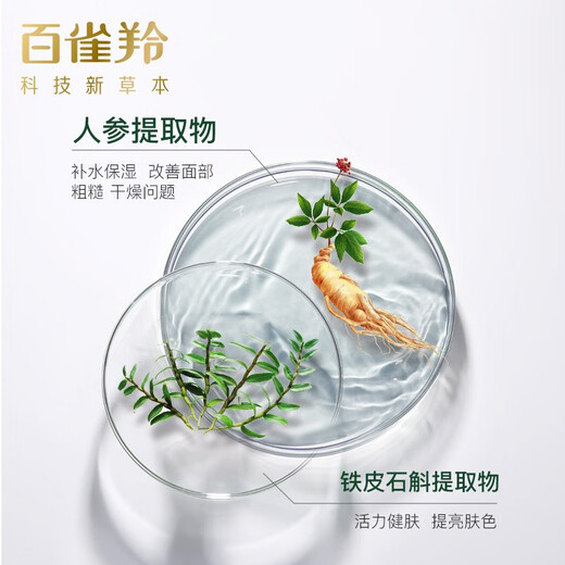 百雀羚男士护肤 肌活劲能活力醒肤水100ml 补水保湿清爽送女友