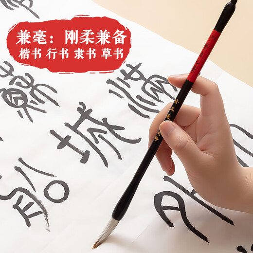 M&G stationery and brush set for students, calligraphy, French painting and calligraphy for beginners, large, medium and small regular script set, 3 pieces of regular script and seal script pens, birthday gift AWBY8420