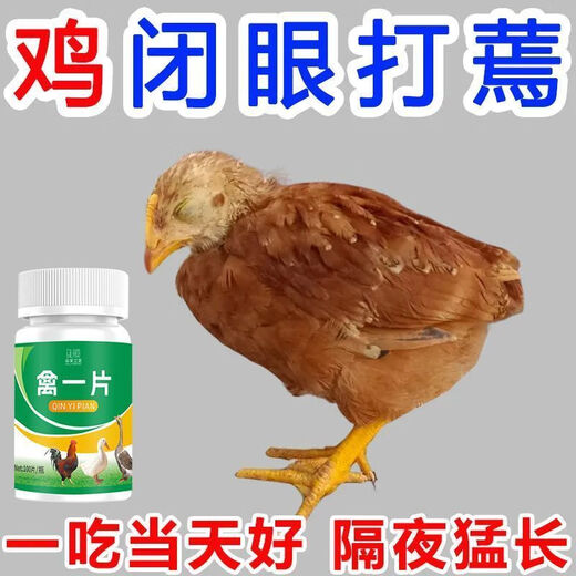 Poultry tablets, authentic chicken, duck, goose and poultry first aid tablets for colds and diarrhea