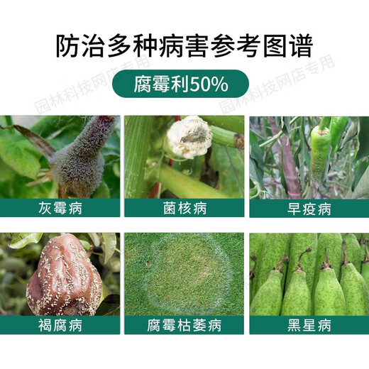 Guoguang Green Green 50% Фунгицид от питиозного увядания для винограда, цветов, саженцев, плодовых деревьев, серой гнили, питиозного увядания, 50г