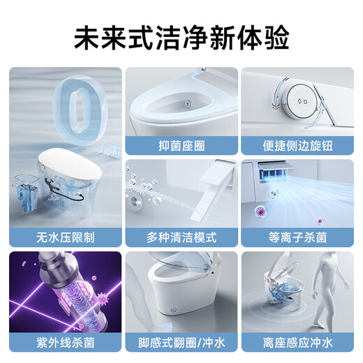 DongPeng (DongPeng) Toilettes de toilette intelligentes officielles maison intégrée thermique instantanée stérilisation bouclier mousse de mousse de toilette intelligente sans eau W6191-Automatique + Bouclier en mousse + pression d'eau illimitée [300-395 mm]