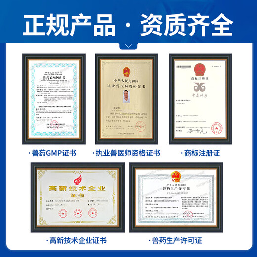 Zhonglong Shenli 70% Astragalus Polysaccharide Soluble Powder Veterinary Huang's Polysaccharide Antiviral Pig, Chicken and Poultry Medicine Cattle and Sheep Feed Additive 1 Bag