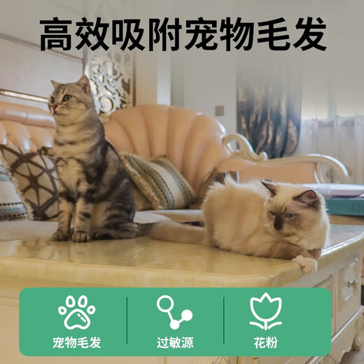 Andermay Allergy Removal Air Purifier Adsorbs cat hair and deodorize pet floating hair and dust removal odor removal PM2.5 household pet purifier sterilizes and removes odors. Upgraded version 9920s