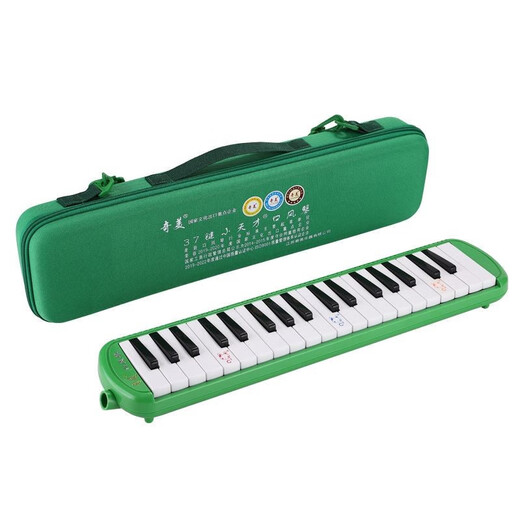 
Qimei Organ 37/32 Key Children Primary School Student Organ Classroom Teaching Professional Play Organ 37 Key Little Genius - Green (EVA Box)