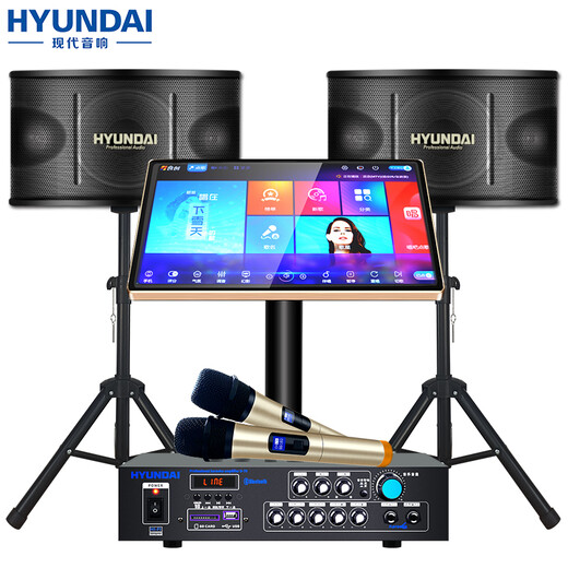 Hyundai Moderner Audio -Lautsprecher Heimkino -Song Bestellmaschine Set Family KTV Home singt Karaoke Wireless Bluetooth -Verstärker -Kartenpaket -Paket [Top1 -Champion] 2025 Gesangsversion