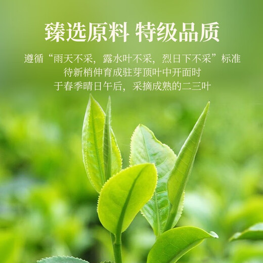 华祥苑茶叶礼盒 特级肉桂茶武夷岩茶乌龙茶 武夷印象250g礼物送礼 250g*1盒
