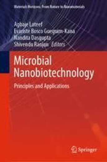 E-book Microbial Na*biotech*logy: Principles and Applications 微生物纳米生物技术：原理与应用: 9789