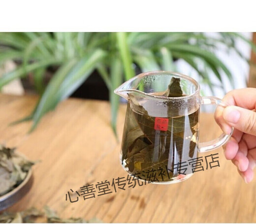 Yourrentang Green Money Willow Tea Centennial Tree Green Money Willow Health Tea Makes The Leaf Tea Gold Money Willow 170g