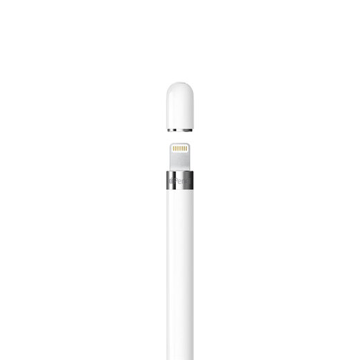 Apple/Apple Pencil (erste Generation) mit USB-C-Konverter, Stift, Apple-Laptop-Kondensatorstift, geeignet für einige iPad-Pro/iPad Air usw.
