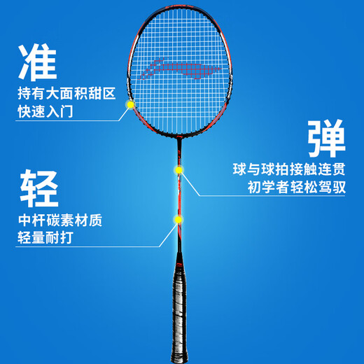 李宁（LI-NING）羽毛球拍中杆碳素280碳复合对拍AYPV069-22 (穿线含羽毛球手胶）