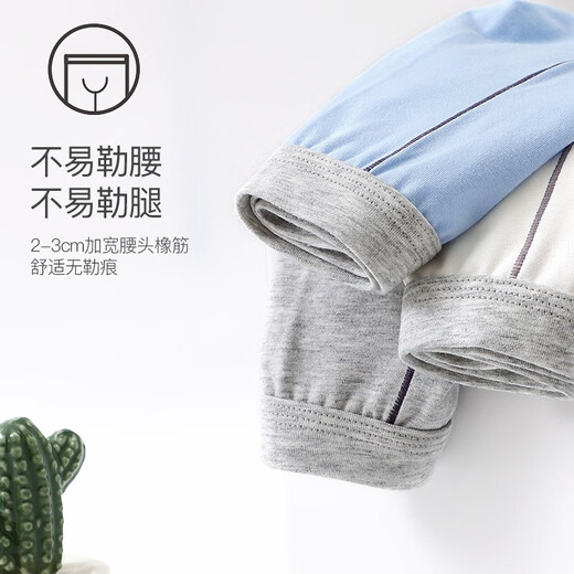 Langsha children's underwear boys students class A cotton 3-18 years old medium and large children's shorts little boys adolescents solid color development period classic solid color 3 pairs 170 recommended height 155-165cm