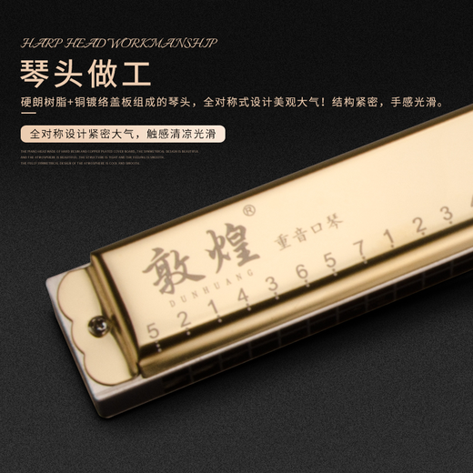 敦煌德国音簧上海敦煌复音口琴专业演奏级重音口琴初学者成人用 28孔 C调 金色调别备注 F调