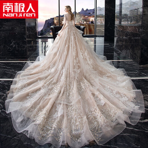 Anjiren Light Luxurious Noble Dress Main Wedding Dress 2020 New Bride Temperament Autumn and Winter Long Sleeve Maternity Belly Covering Large Size Mori Style Super Fairy Fantasy Trailing Strictly Selected High Quality Trailing Wedding Dress (Regular Style) M