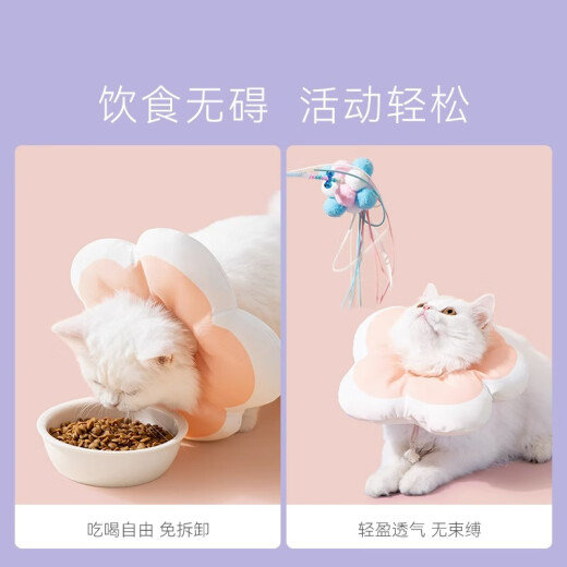 Cat rice Elizabethan ring cat anti-licking soft headgear cat collar shame collar Elizabethan ring cat pet supplies sea salt cheese + wet wipes M-large (recommended weight 8-12Jin [Jin equals 0.5 kg])