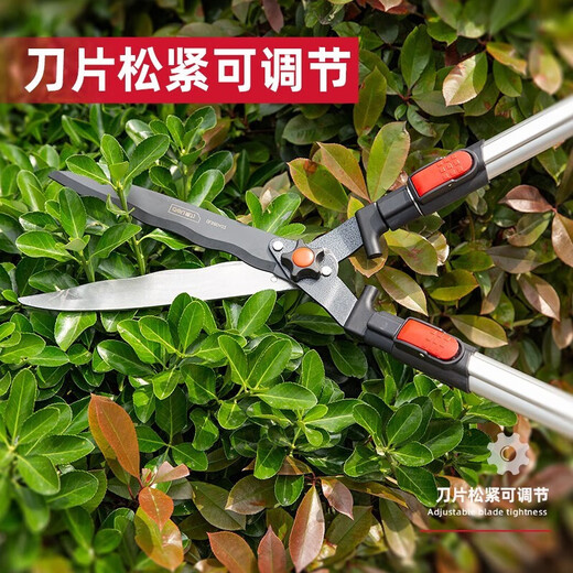 Tijeras de podar Deli, tijeras para podar flores de jardín, tijeras para árboles frutales, tijeras de jardinería grandes, gruesas y potentes, tijeras para viveros de césped, tijeras para setos telescópicas de aleación de aluminio de 35 pulgadas DL58042