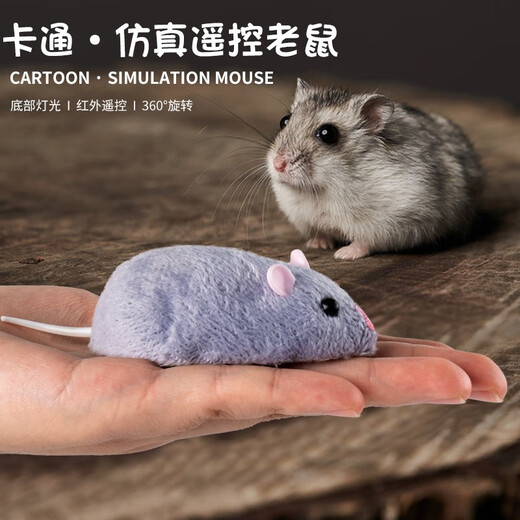 Songxing Maus Spielzeugfernbedienung Elektrische Simulation Animal Boy Girl gefälschte Kakerlake gruselige Internet -Promi -Kinderspielzeug gelb und schwarz Modell Fernbedienung Centipede 9901+ Schraubendreher Upgrade mit weiteren 24 Elektronik