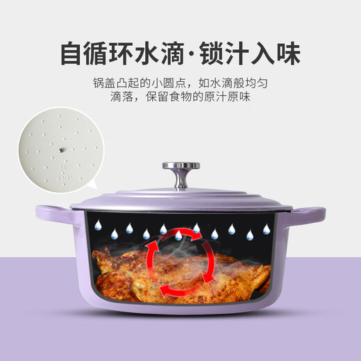 Tie Gongfang enamel steamer cast iron micro-pressure stew pot single-layer steamer household soup pot non-stick enamel porridge pot enamel pot + steamer (Linglong Purple) 26cm