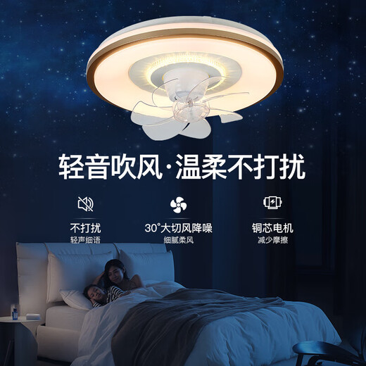 V-POWER智能卧室吊扇灯风扇灯LED灯具客厅餐厅现代简约吸顶灯电扇灯 【惠】9904-J金边-96W无极-360摇头